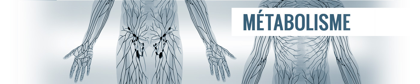 M�tabolisme Cellulaire