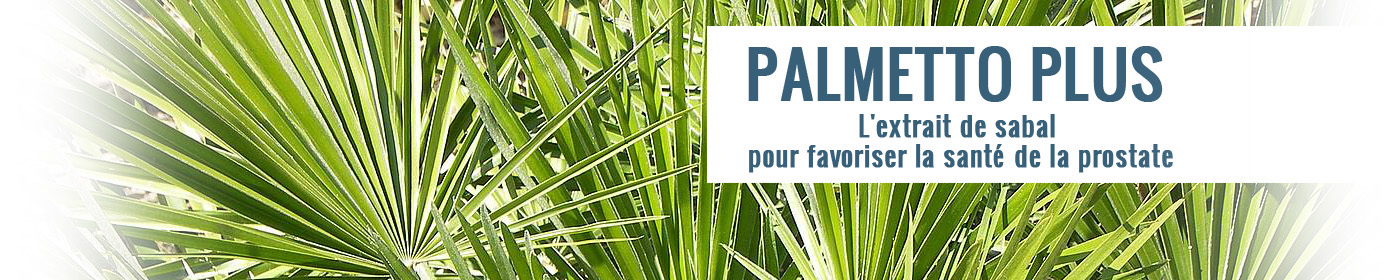 Suppl�ment de chou palmiste nain, de lycop�ne et d'isoflavones de soya