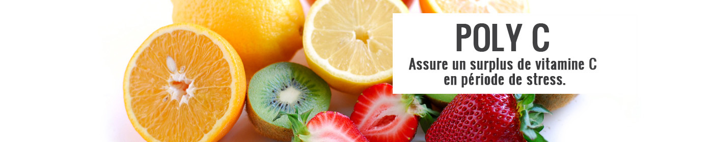 Supplément de Vitamine C | Ascorbates de minéraux Supplément de Vitamine C | Ascorbates de minéraux