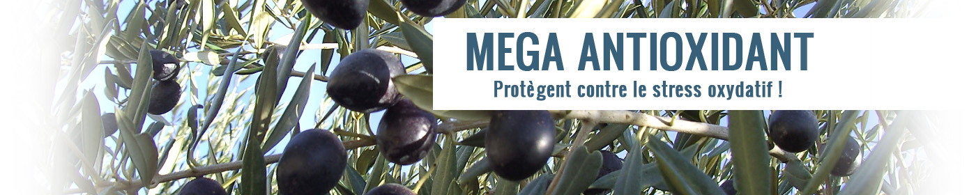 Suppl�ment de Multivitamine et Antioxydants