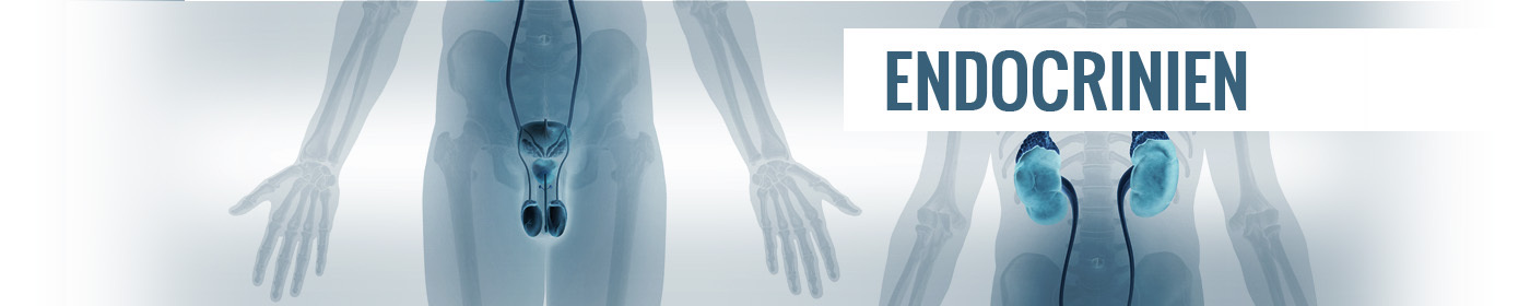 Syst�me Endocrinien
